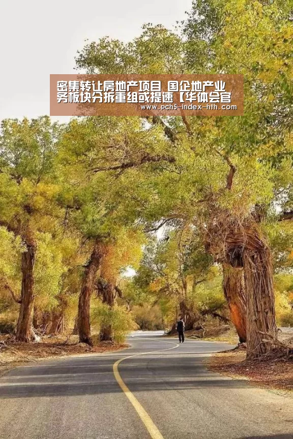 密集转让房地产项目 国企地产业务板块分拆重组或提速【华体会官方平台】(图2) 华体会官网下载