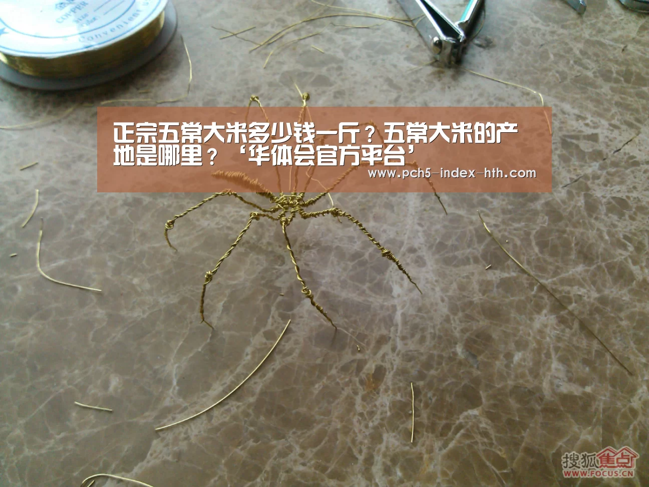 华体会官网下载