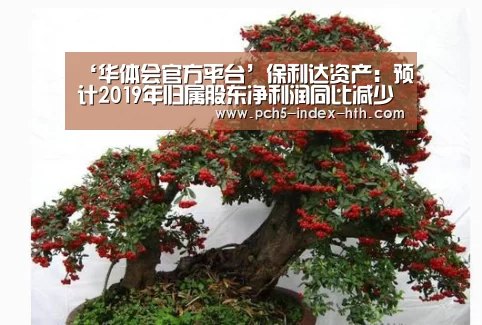‘华体会官方平台’保利达资产：预计2019年归属股东净利润同